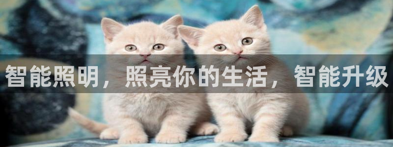 云顶国际唯一官网
