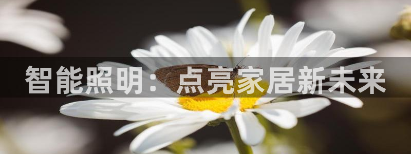 云顶国际怎么才能提现