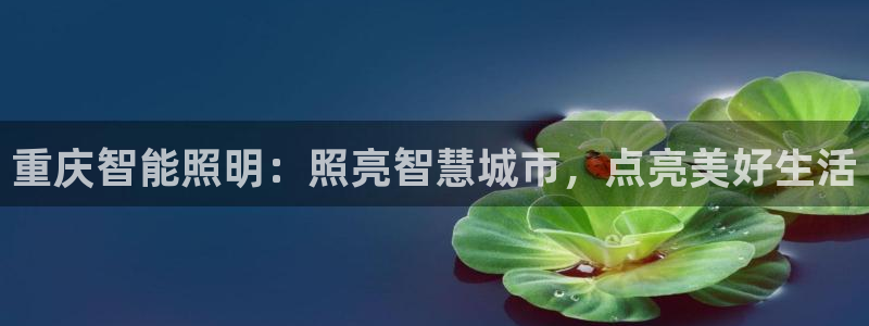 云顶集团网站app下载安装