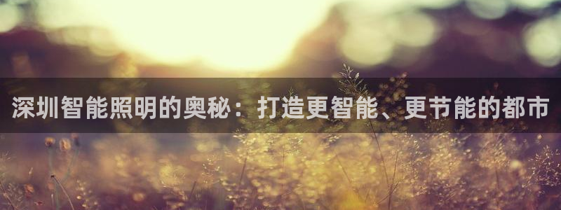 云顶集团中国区总裁