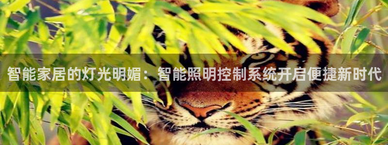 云顶手游国际