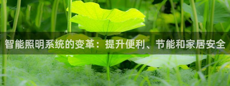 上海云顶国际会所有什么服务