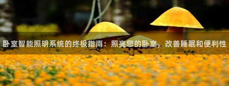 云顶t00