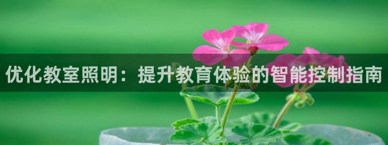 云顶国际日本