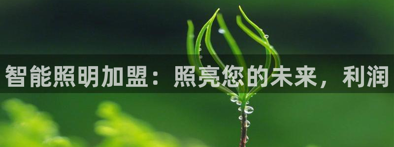 云顶国际是真实网站吗知乎