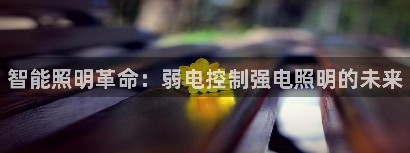 云顶国际晟荣协会会长是谁