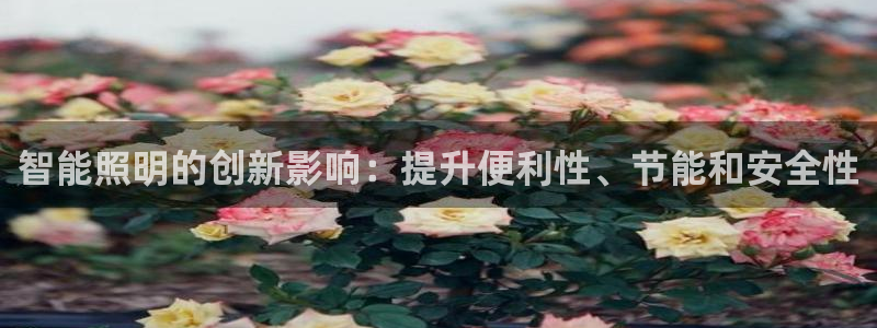 云顶集团官网电话是多少