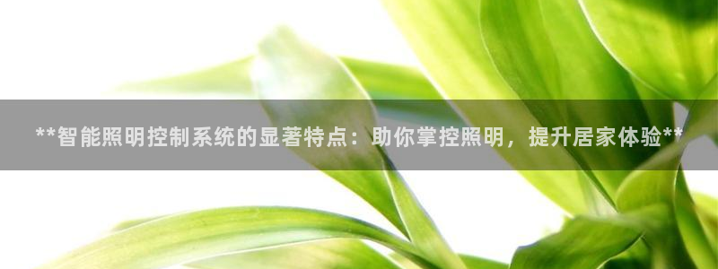 云顶国际部HKDSE