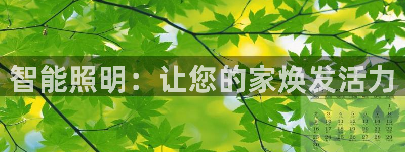 云顶国际公馆怎么样
