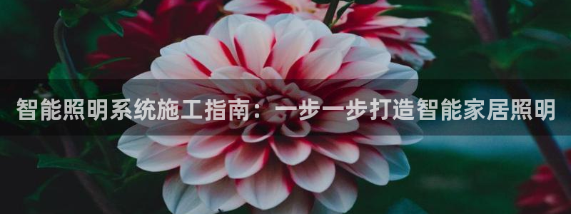 云顶国际图片
