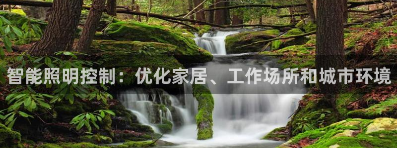 云顶集团董事长林东简历照片