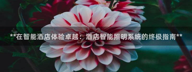 云顶集团游戏app月底是不是不能玩了