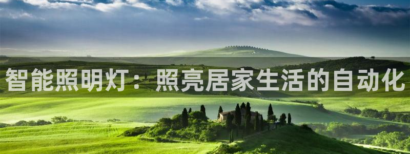 云顶国际账号怎么登录不了微信
