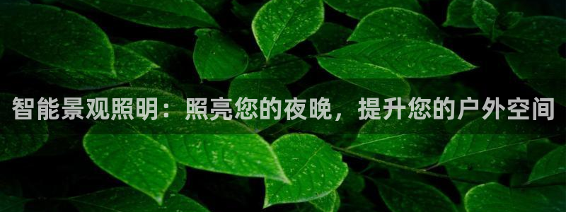 云顶国际装饰设计公司