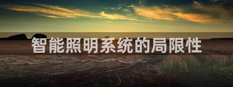 云顶国际集团发展有限公司国内项目总经理