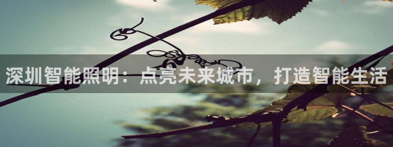 云顶国际取款多久到账户