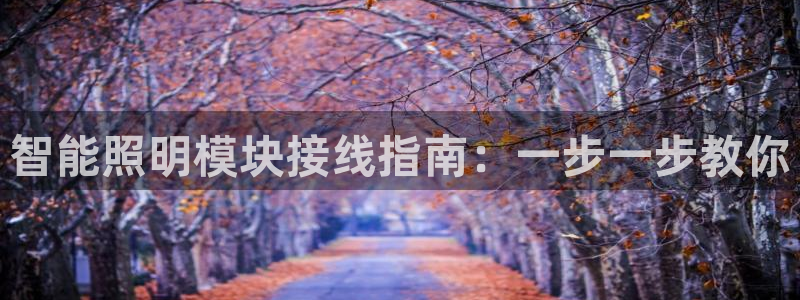 云顶国际服怎么选服务器