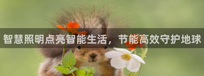 云顶国际ktv会所电话