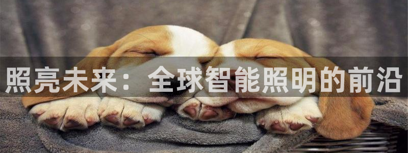 云顶游戏网址