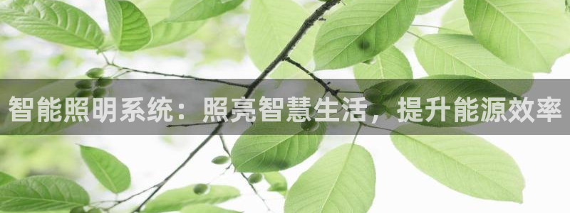 云顶国际app官网下载安装