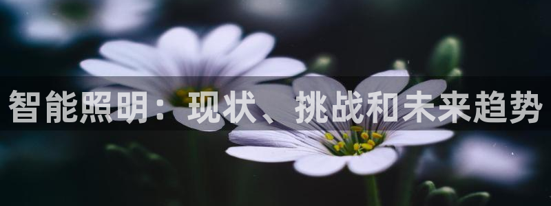 云顶国际平台游戏可靠吗