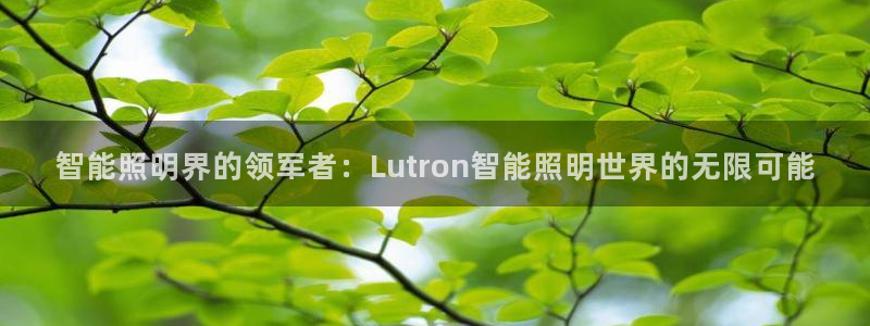 云顶国际服更新时间是多久