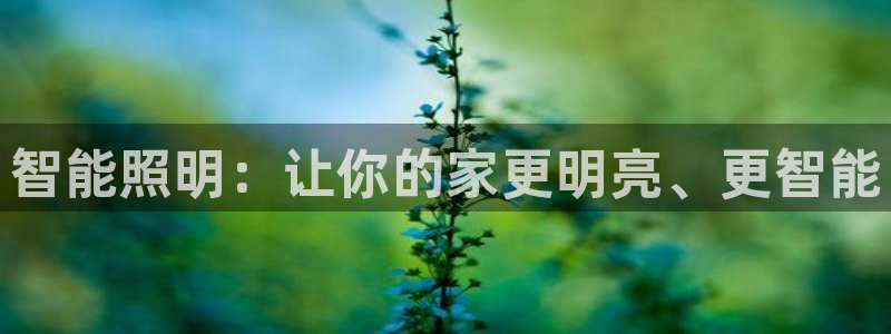 lol云顶1v0