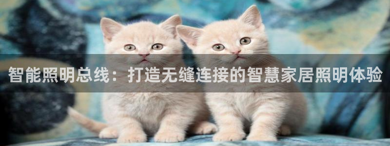 云顶国际服哪个服人多
