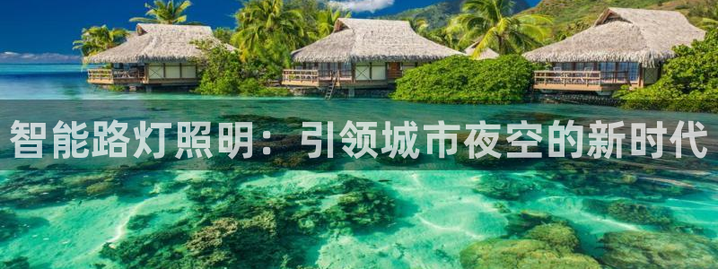 云顶国际体育