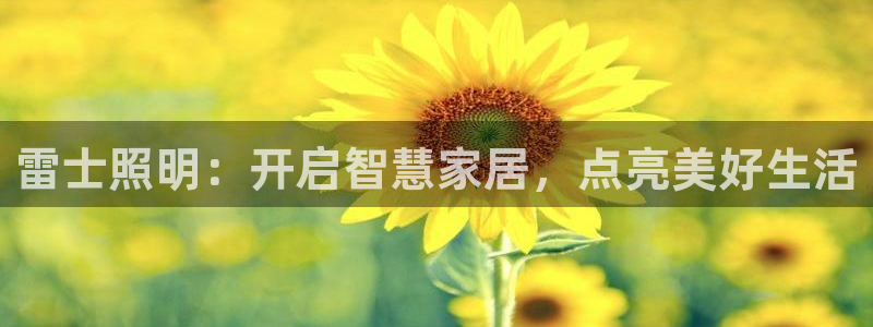 云顶国际服怎么换服务器