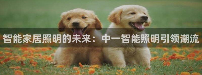 云顶国际提现不到账怎么办