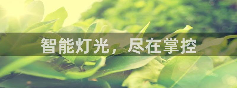 登录云顶集团怎么登录