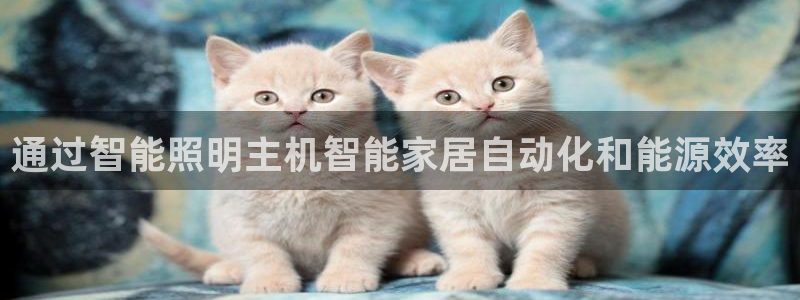 云顶国际中国官方网站入口
