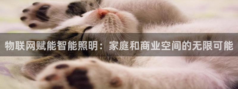 云顶国际会所在哪里