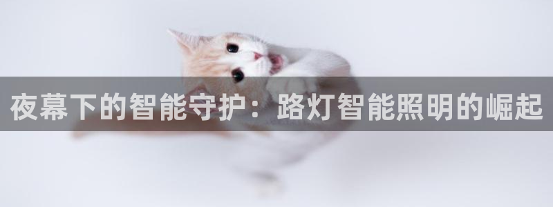 云顶国际app免费下载