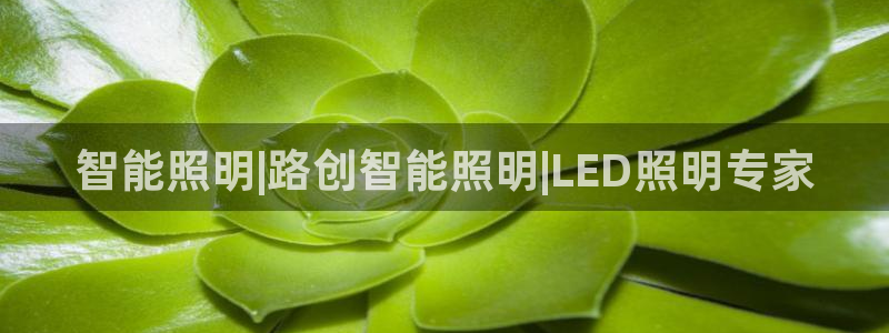 云顶国际贴吧