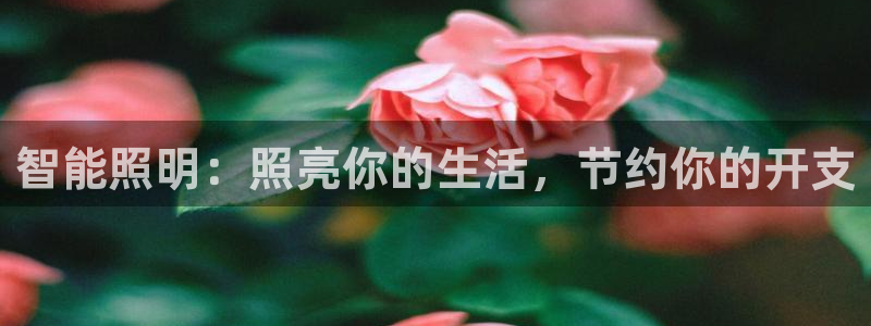 yd12300云顶线路