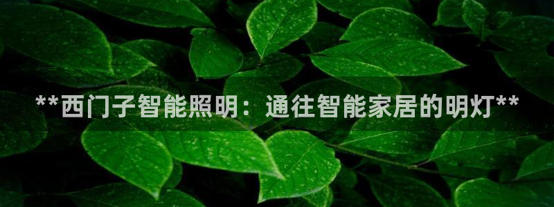 云顶国际晟荣协会会长是谁