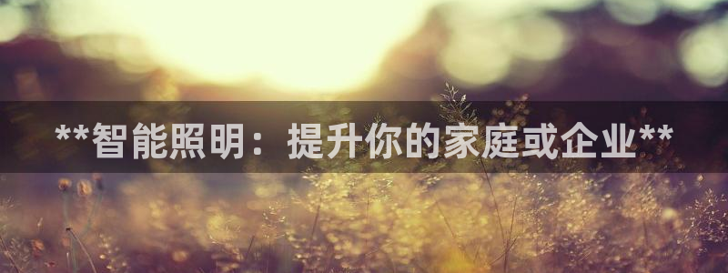 云顶国际软装公司怎么样知乎