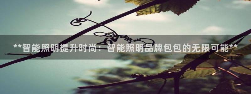 云顶国际服s11