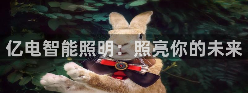云顶国际属于哪个社区