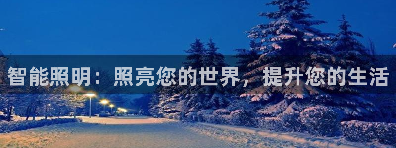 云顶国际部HKDSE