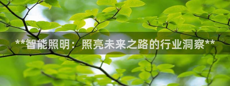 云顶国际下载APP