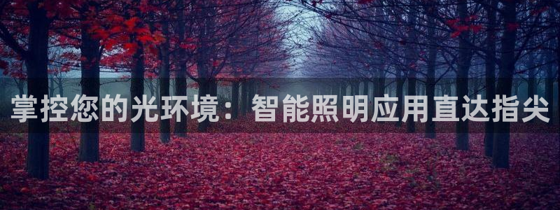 云顶国际服阵容