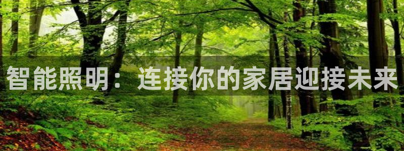 云顶讲解