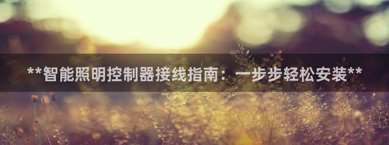 云顶集团市值