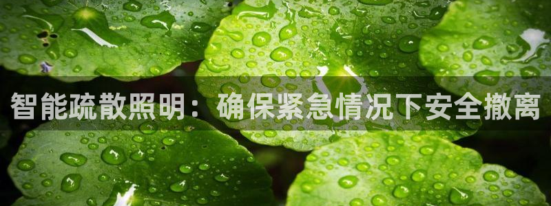 云顶国际培训中心官网