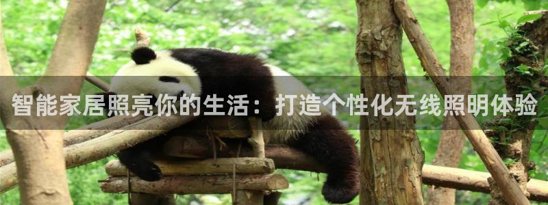 云顶国际KTV会所