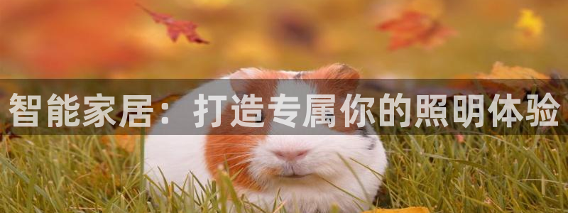 云顶国际酒店怎么样