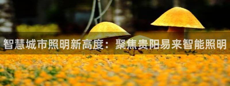 云顶国际贴吧